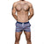 ANDREW CHRISTIAN Anchor Swim Shorts