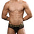 ANDREW CHRISTIAN MASSIVE Slick Net Brief w ALMOST NAKED