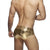 ADDICTED METALIC BRIEF GOLD