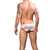 ANDREW CHRISTIAN Bandana Pride Brief w/ ALMOST NAKED