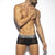 ES COLLECTION ZEBRA C-THROUGH TRUNK
