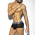 ES COLLECTION ZEBRA C-THROUGH TRUNK