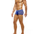 MODUS VIVENDI HELLENIC BOXER