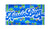 aussieBum Towel Palmtree